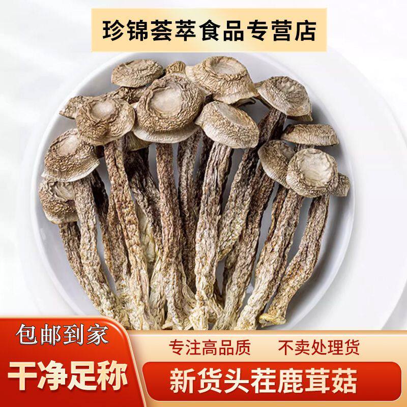 !新疆包邮西藏鹿茸菇干货