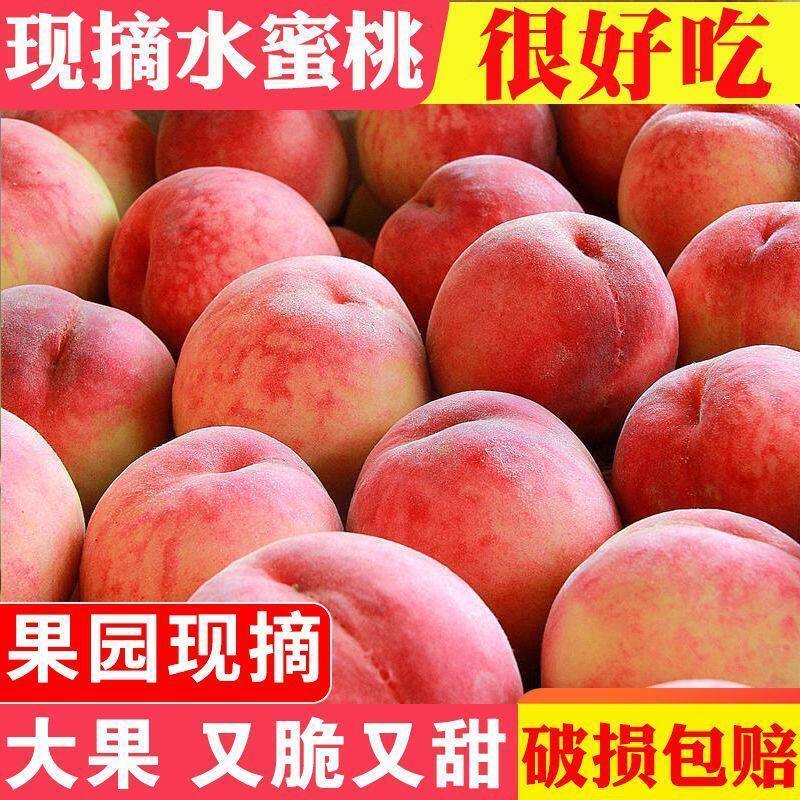 河南尉氏县脆桃水蜜桃万亩桃园郭家村应季鲜桃酸甜可口现摘现发 - 实物图