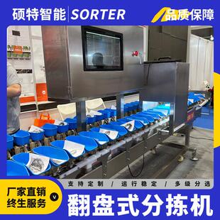 柿子称重分选机 自动化重量分级 转盘料盒式人参果分拣设备