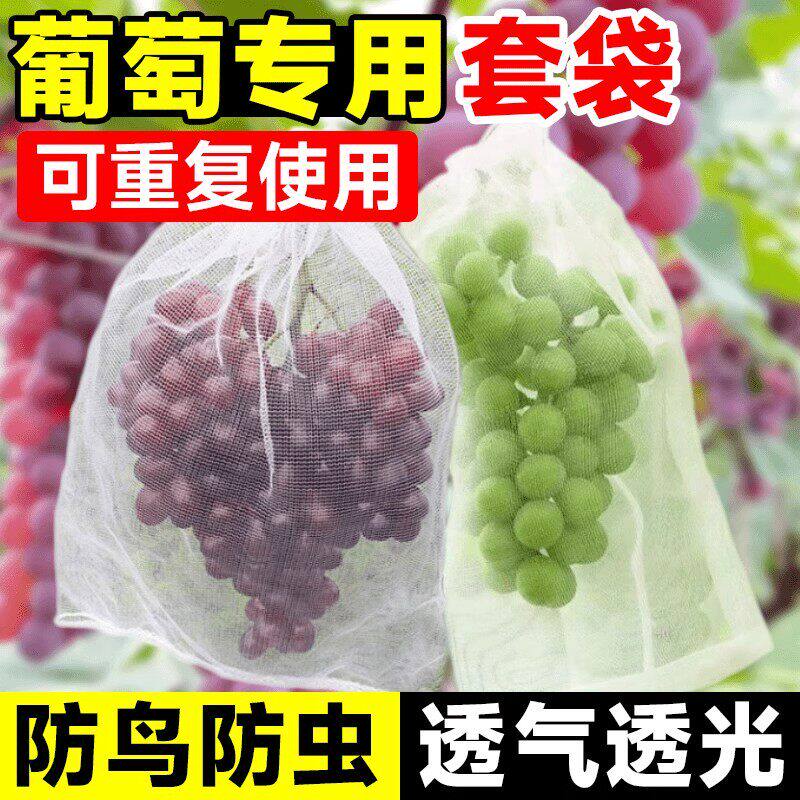 葡萄专用套袋水果瓜果防虫防鸟神器保护纱网袋无花果石榴果袋透气