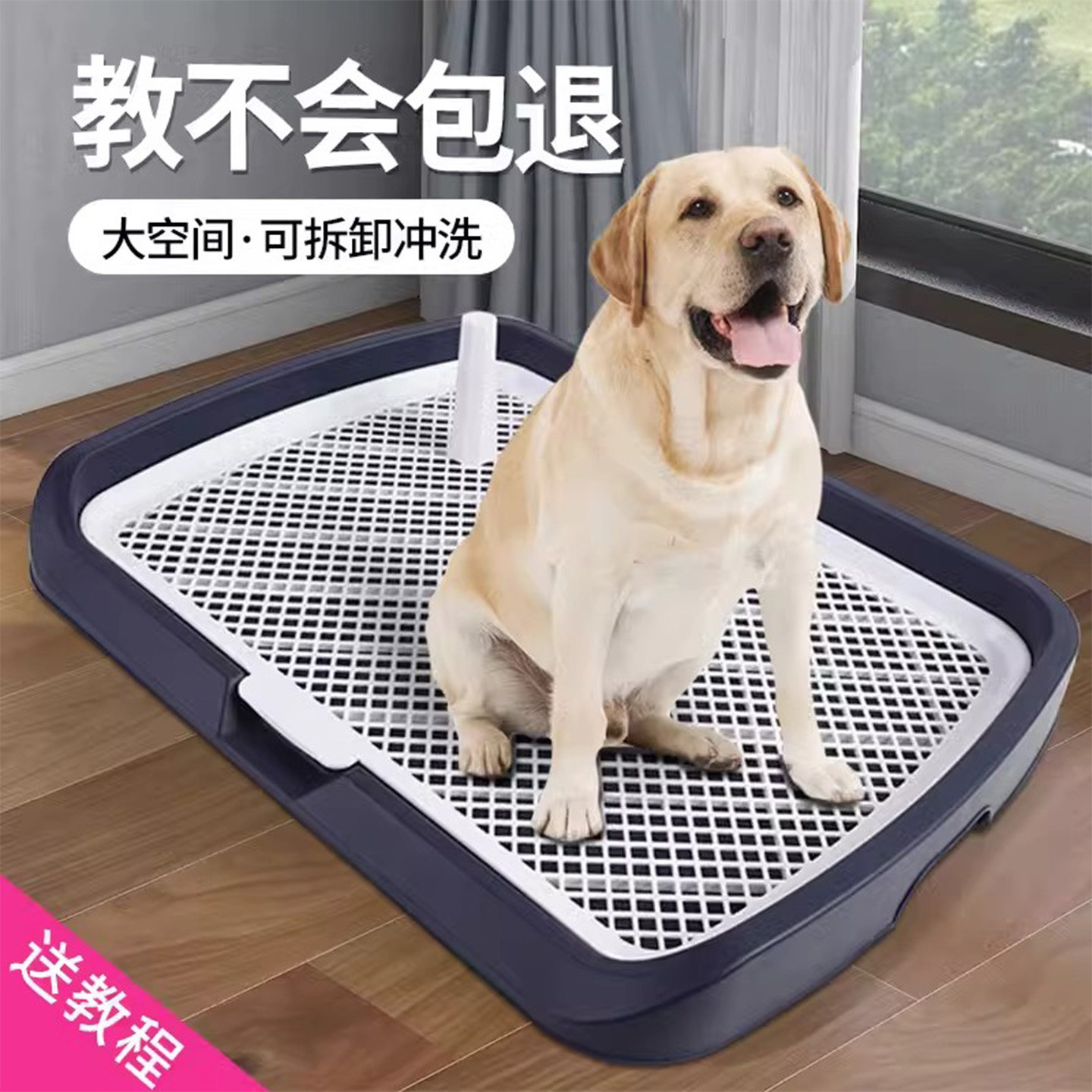 德国宠物狗狗厕所中大小型犬用防踩尿狗狗便盆泰迪柯基金毛狗尿盆