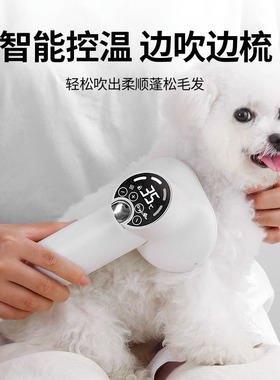 德国KGL智能宠物吹风机吹梳一体机狗狗洗澡泰迪比熊猫咪博美专用