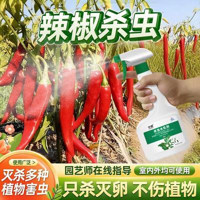 辣椒树用药卷叶虫青椒专用药芽虫牙虫刹虫剂叶小虫子生棘椒除虫药
