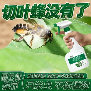 切叶蜂杀虫剂防茎蜂专用杀药蜂药叶月季花玫瑰蔷薇叶峰朱丽叶 1瓶
