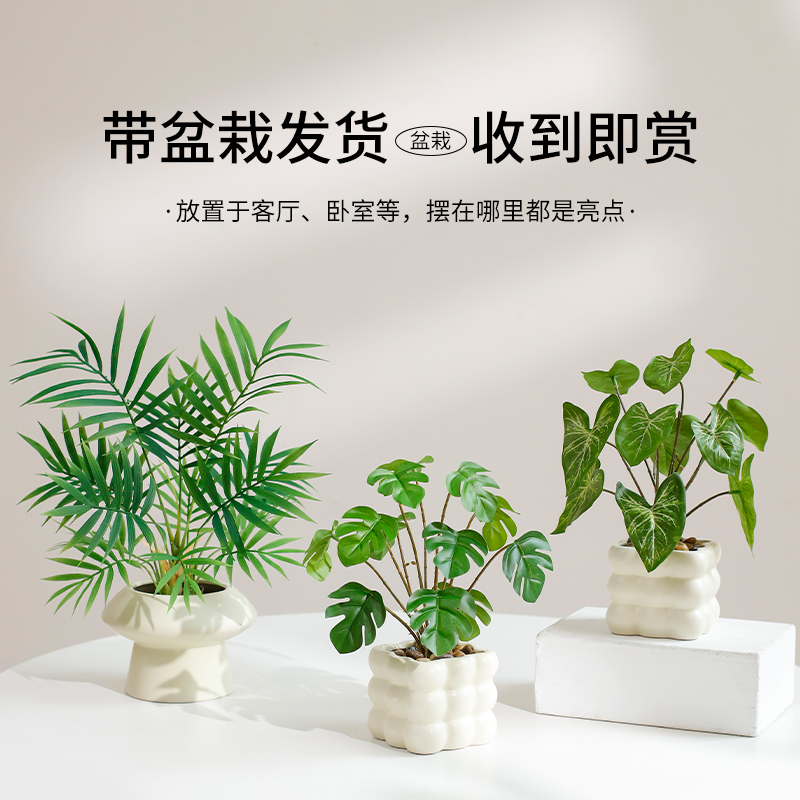 神涎仿真绿植盆栽小摆件