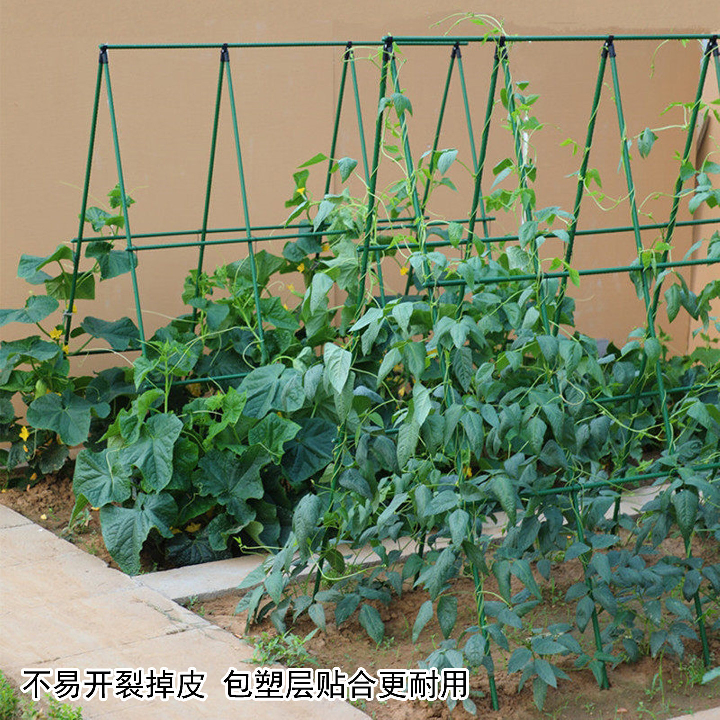 加厚包塑钢管爬藤架防倒伏图片