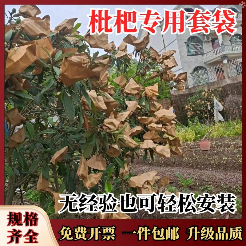 梨套袋桃子袋苹果石榴芒果李子防水防鸟爱媛柑橘橙子枇杷专用套袋