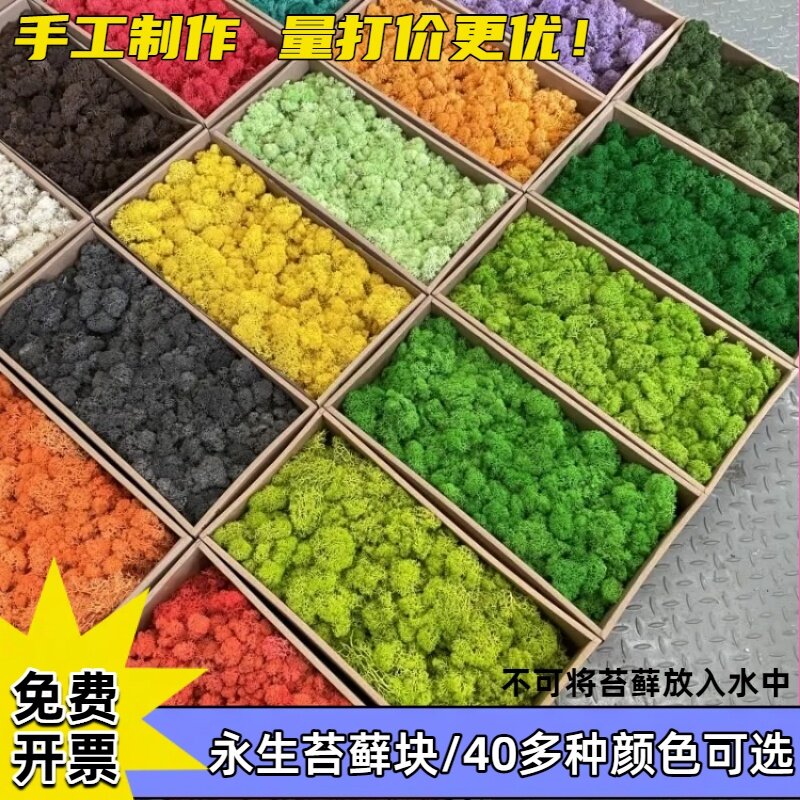 永生花苔藓植物墙diy材料包真青苔绿植墙水草背景墙装饰仿真造景
