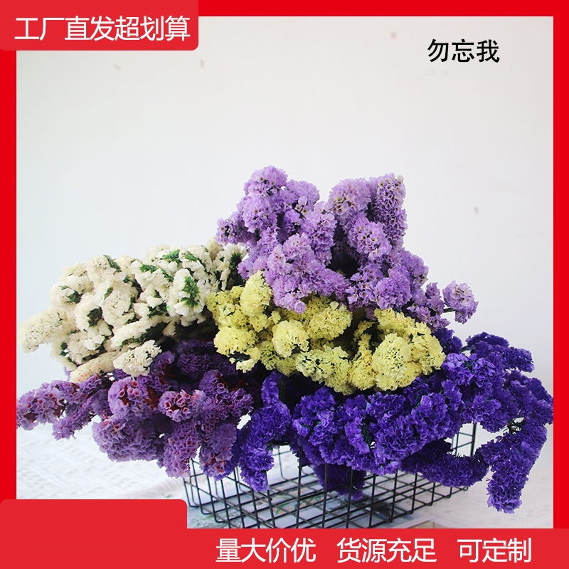 云南勿忘我满天星干花真花永生花圣诞节礼物摆件花束装饰厂家直发