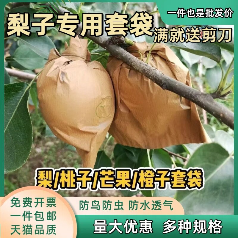 梨子套袋专用袋黄金梨秋月梨果树防虫水果套袋防水防晒梨子纸袋子