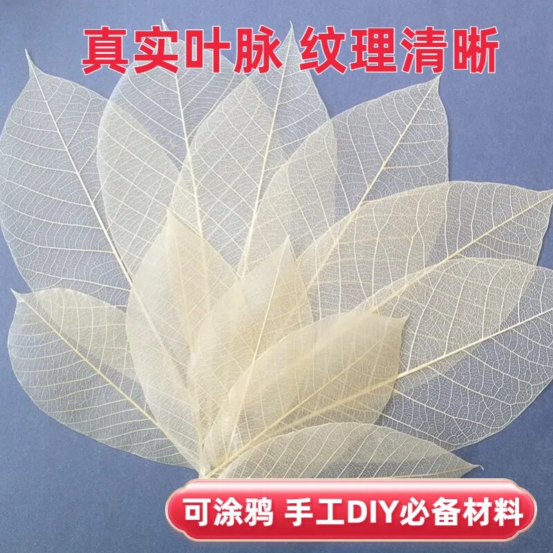 玉兰叶脉DIY手工花叶脉花材手工玫瑰花折叠装饰画材料叶脉画书签