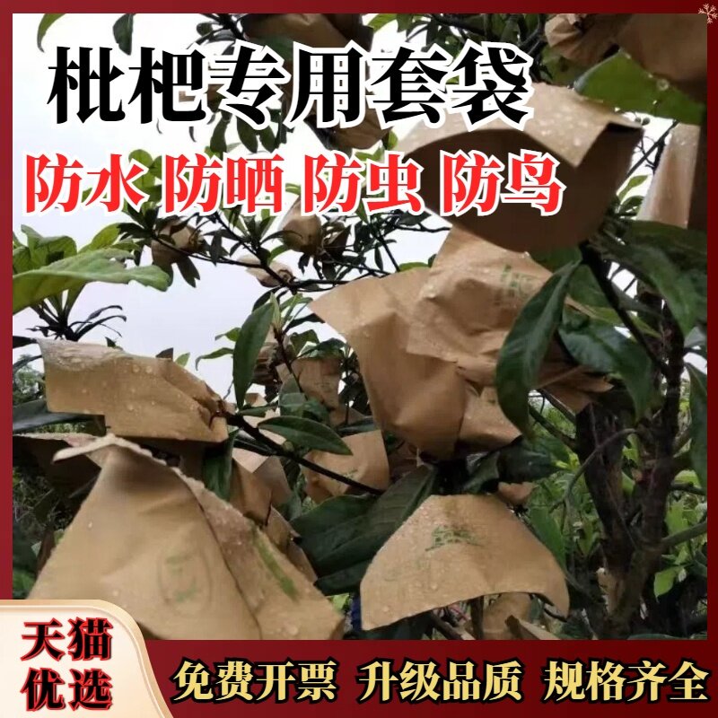 枇杷套袋专用袋果子套袋神器柑橘芒果橙子袋水果套袋防虫防鸟防晒