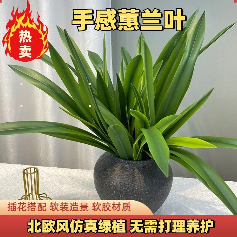 仿真剑兰叶蕙兰叶配草假花插花绿植阳台园艺工程造景绿叶吊兰植物