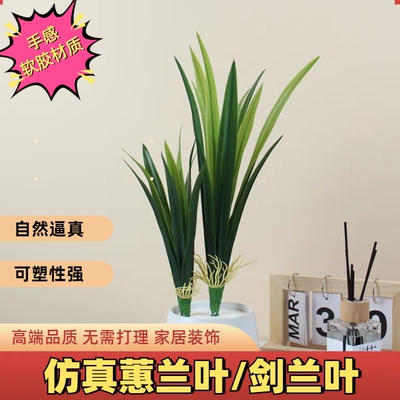 过胶手感仿真把束蕙兰叶子兰花草兰花叶蕨类植物墙上装饰盆景插花