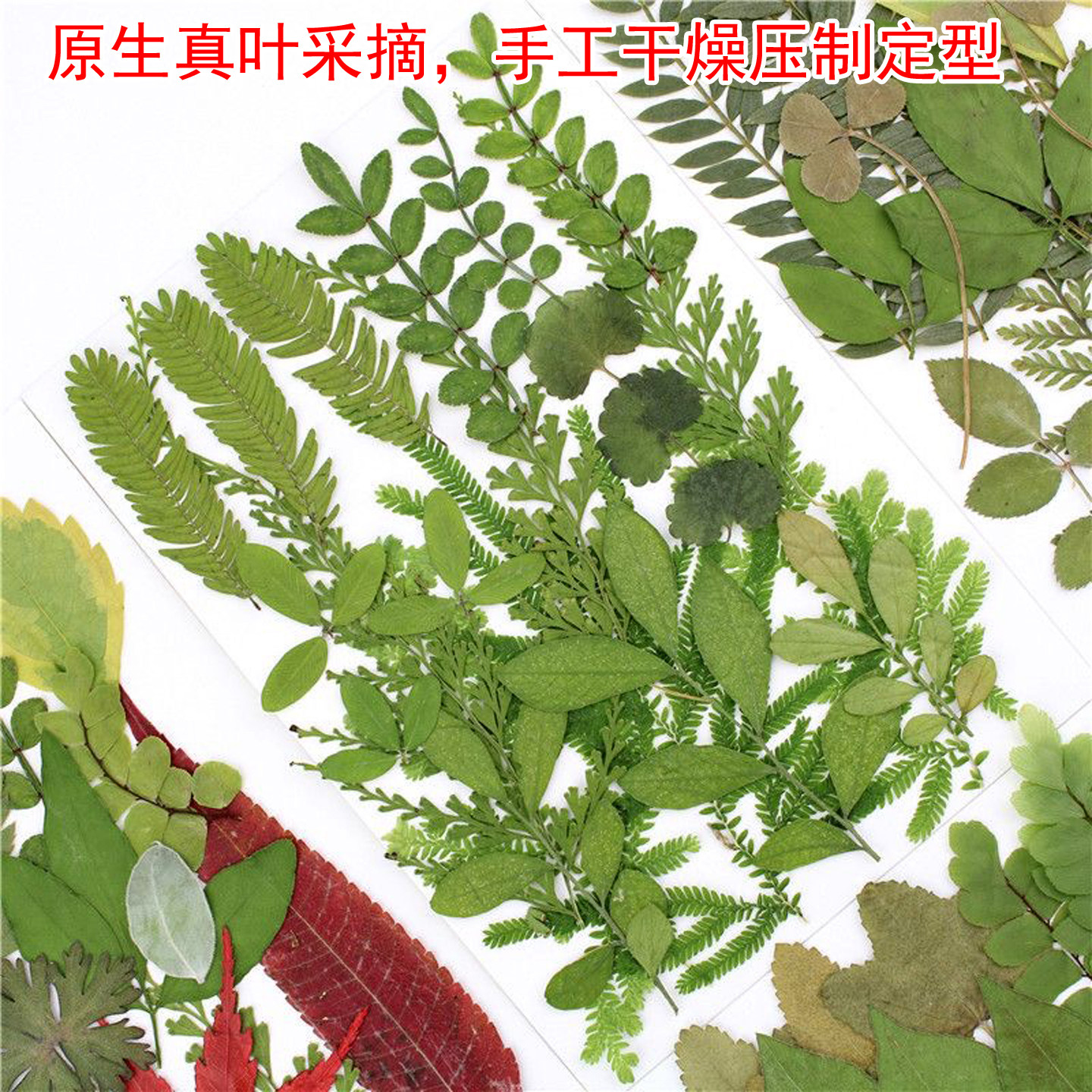 齐全叶片组合包滴胶手机壳布景