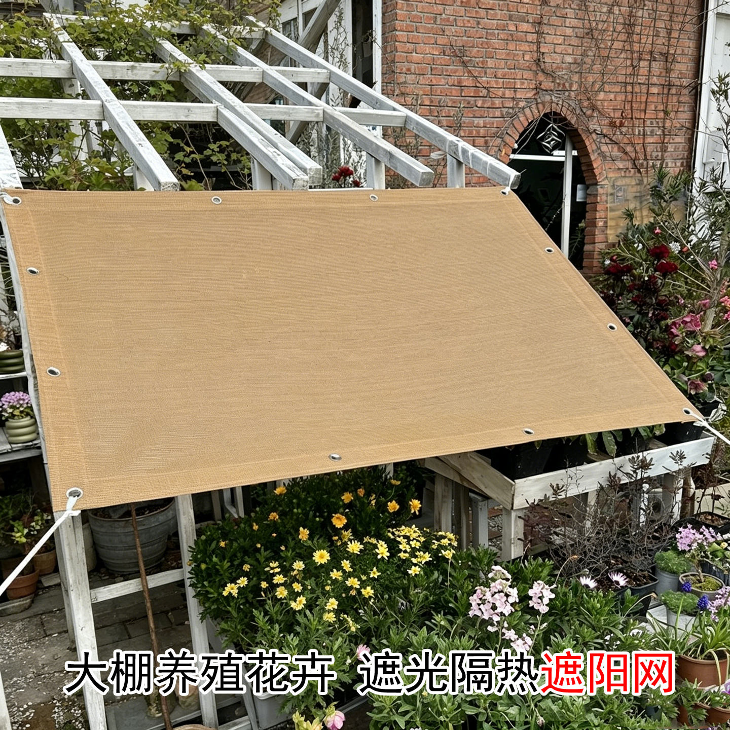 加厚防晒网抗晒居家院落阳台庭院花卉植物遮阳隔热定型遮阴网大棚