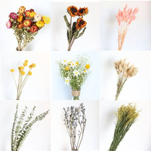 小麦兔尾草满天星干花混搭花束diy材料花客厅装饰云南工厂