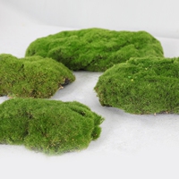 森系造景假山布置仿真植绒青苔草皮草坪微景观仿真假石头苔藓块