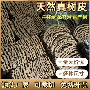 软木树皮香槟树真树皮爬宠鱼缸造景水族装饰贴摄影背板墙面树皮