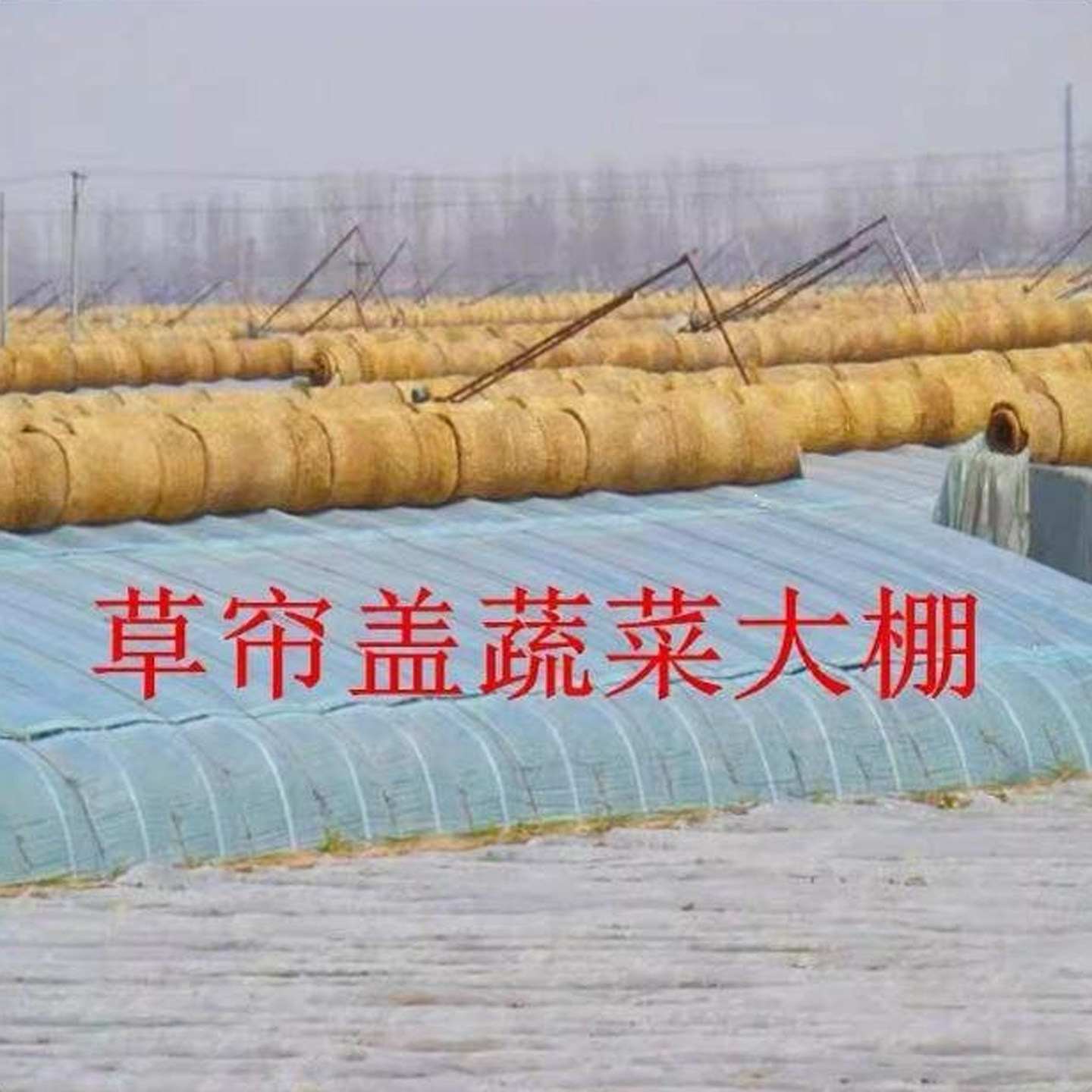 加厚编织草帘大棚防冻保温防滑