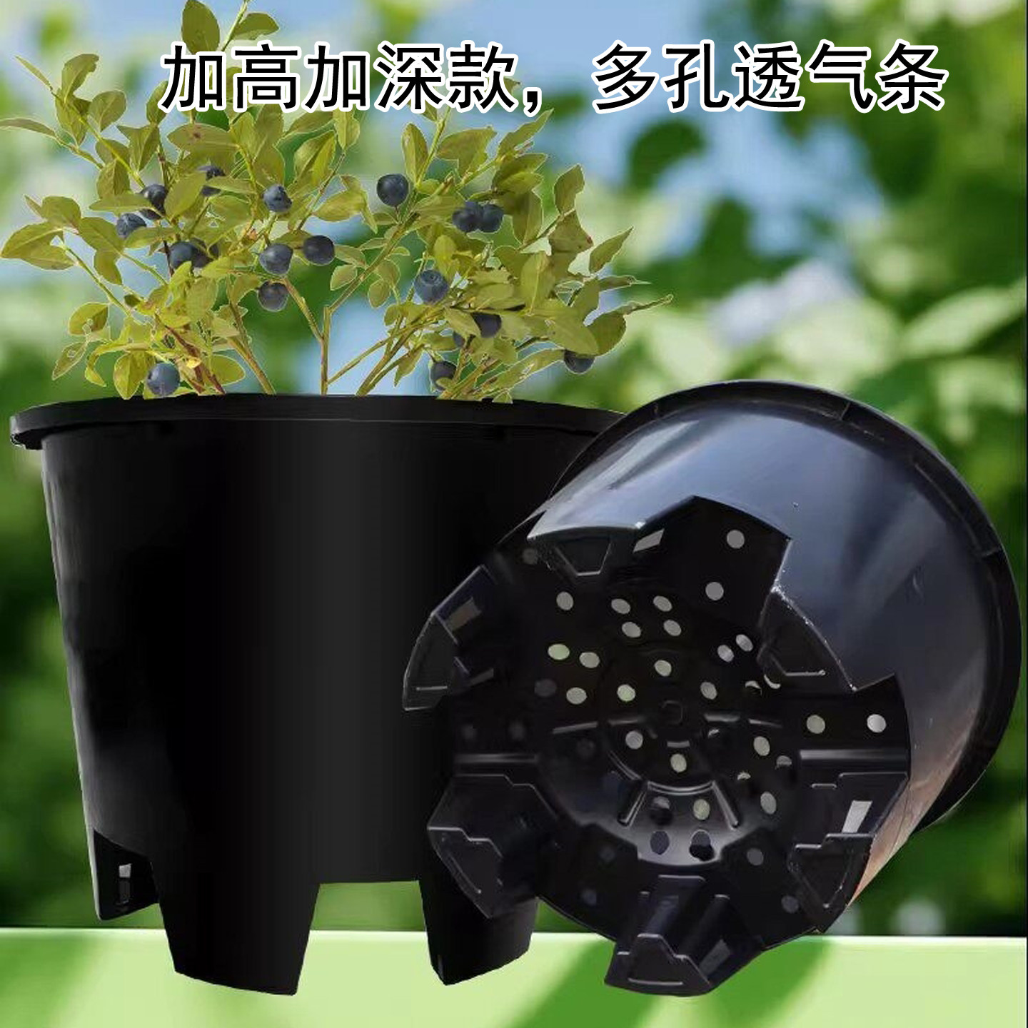 蓝莓专用种植盆树脂加厚青山控根盆大口径透气家用果树花盆园艺设