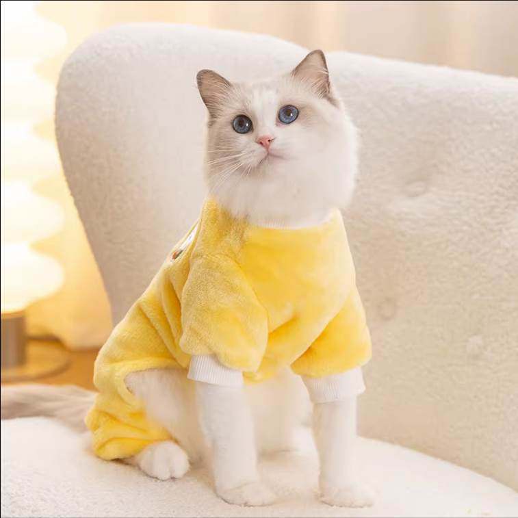 狸花猫咪专用小衣服秋季冬天穿的保暖过冬四脚衣防掉毛幼猫背心