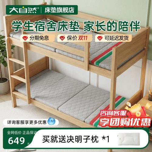 学生宿舍折叠床垫山棕护脊