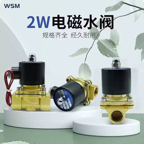 电磁控制阀220V 24V常闭电磁水阀2w025-08 2w040-10 2w160-15