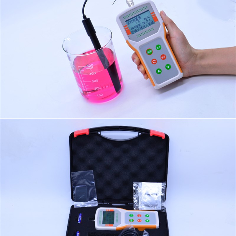 便携式溶氧仪DO测定仪鱼虾养殖手持式测氧仪污水曝气池氧气浓度计