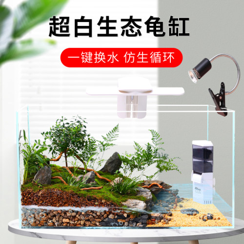 客厅超白玻璃乌龟缸真植物造景