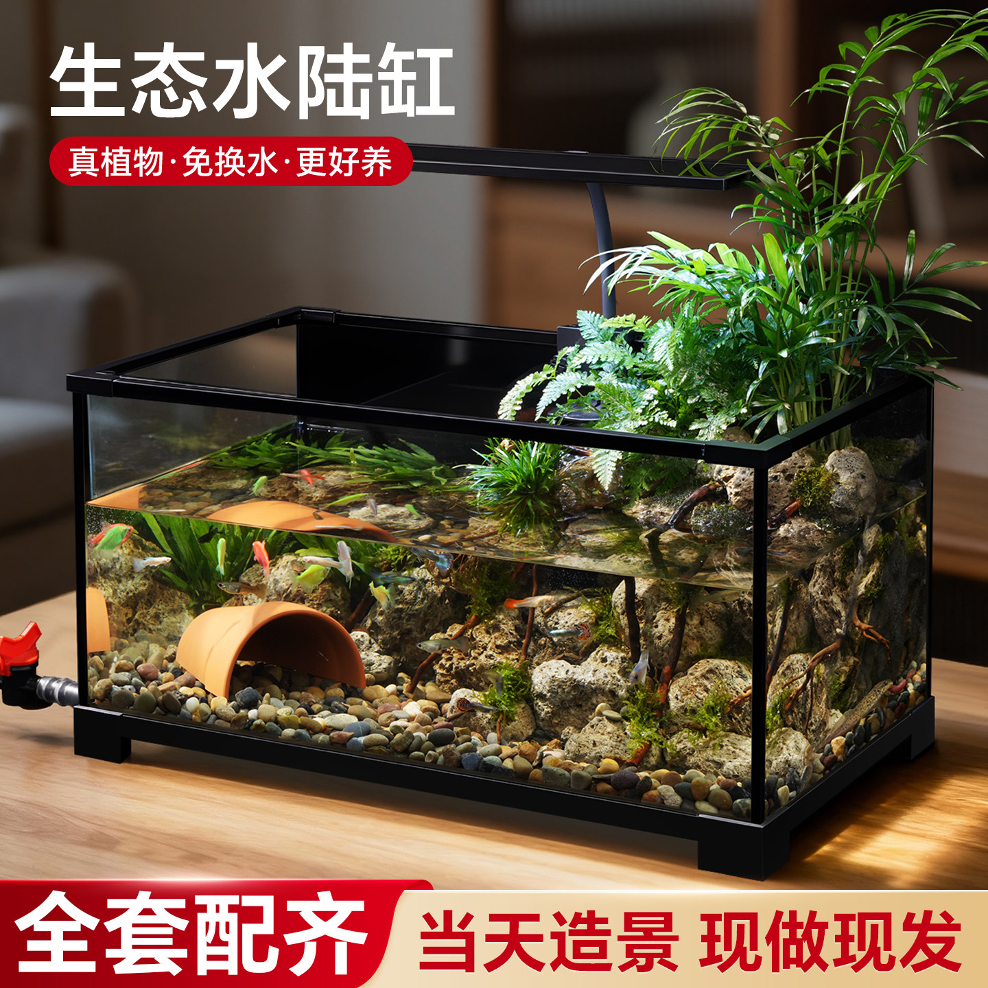 鱼缸造景全套生态造景家用玻璃缸小型造景水陆两用鱼龟混养专用缸