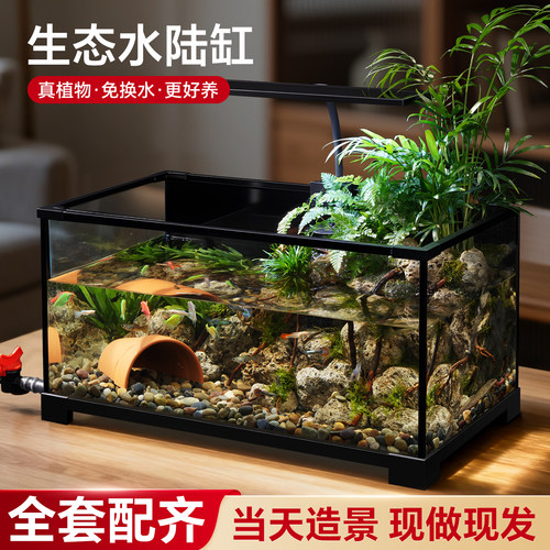 鱼缸造景全套生态造景家用玻璃缸小型造景水陆两用鱼龟混养专用缸