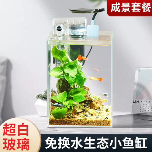 生态鱼缸微景观懒人造景超白玻璃