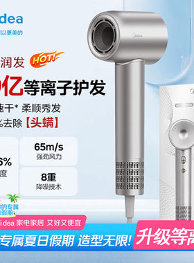 美的高速吹风机家用等离子护发大风力速干电吹风大功率风筒FG208