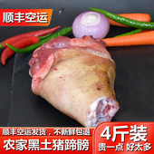 猪蹄 正宗农家土黑猪肉猪蹄新鲜现杀蹄膀猪肘子整只4斤装