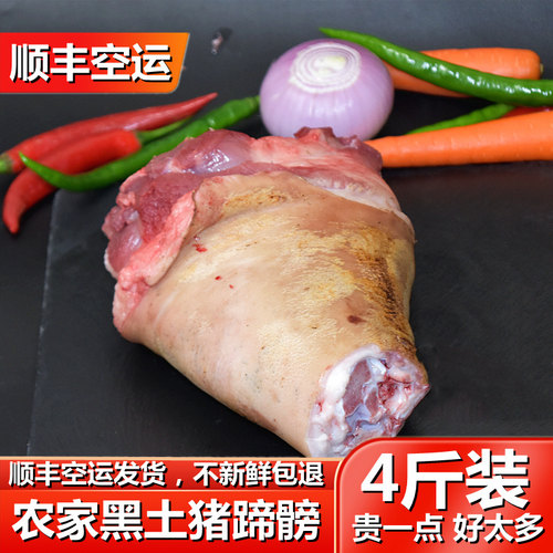 正宗猪蹄髈新鲜整只冷冻