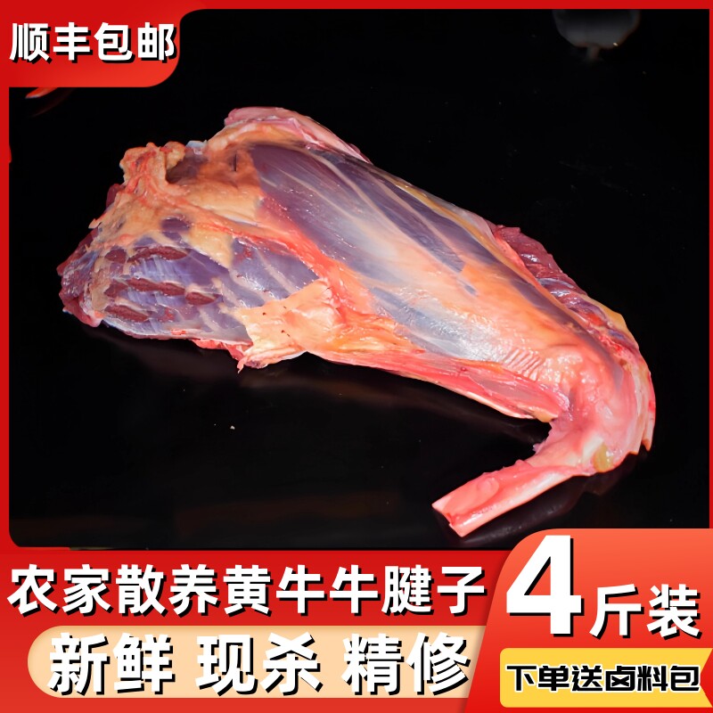 4斤 新鲜原切牛腱子肉农家散养黄牛肉国产健身牛腿腱子肉花键金钱