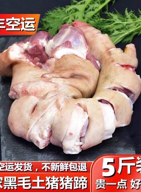 农家黑猪肉蹄膀蹄尖猪蹄