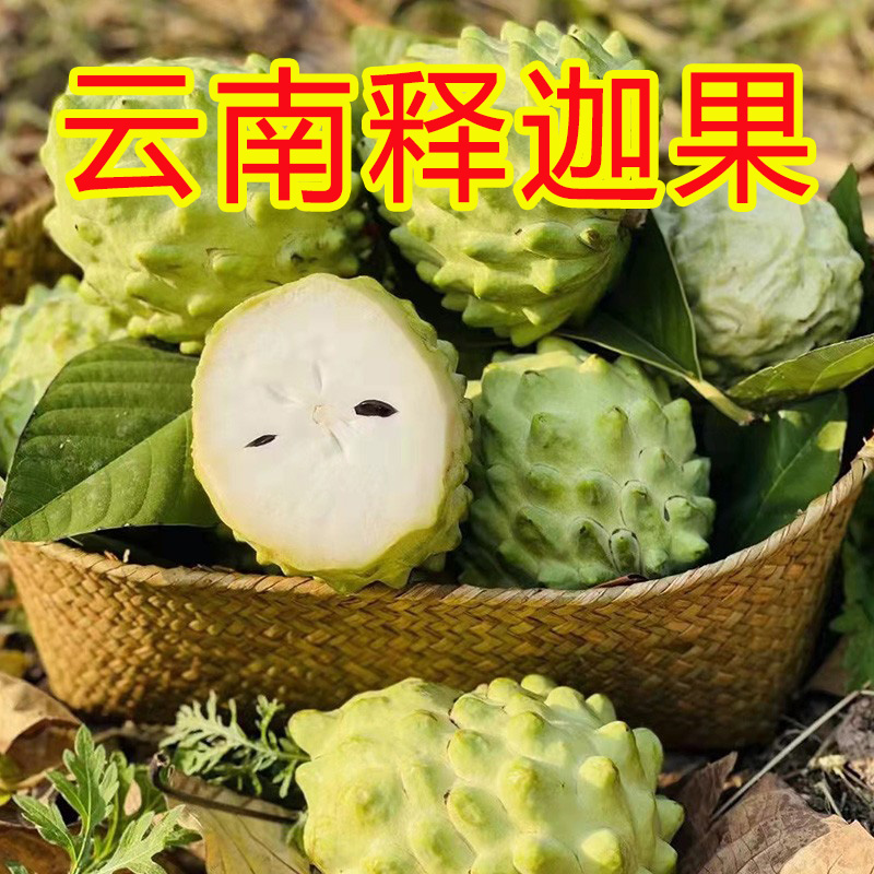 正宗云南释迦果花皮大果牛奶果番荔枝新鲜甜水果整箱3斤5斤装