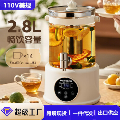 110V养生壶家用多功能炖煮