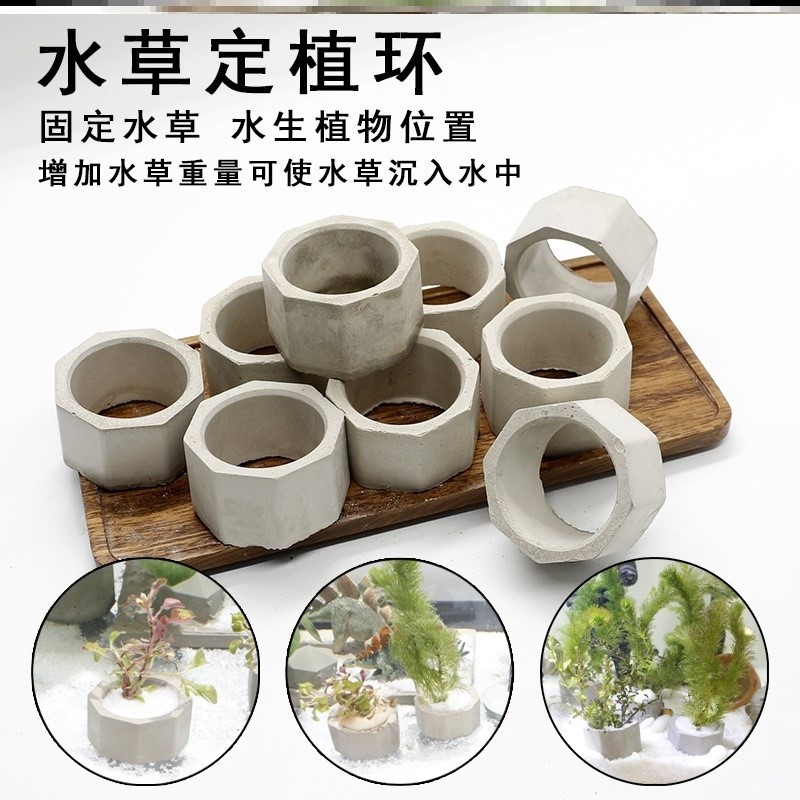 鱼缸水草固定价格 鱼缸水草固定图片 星期三