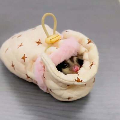 蜜袋鼯窝冬季加绒加厚保暖窝幼鼠小仓鼠花枝鼠通用睡觉窝可爱睡袋