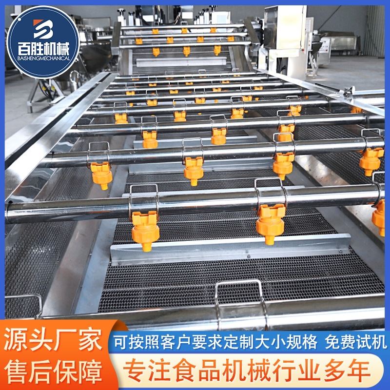 全自动鲜大蒜气泡清洗机 蒜苔蒜苗清洗机 油麦菜气泡清洗机