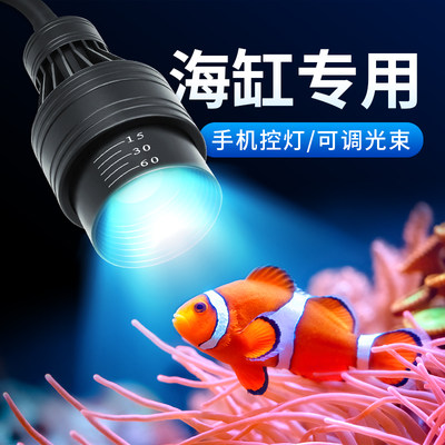 海缸灯led蓝白海水鱼专用可调焦