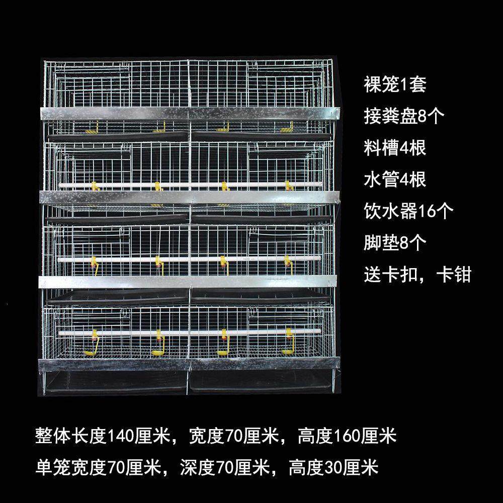 加粗加密育雏笼小鸡笼雏鸡笼4层一体式弹簧门养殖繁殖鸡鸭苗笼子