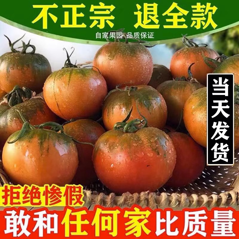 丹东铁皮草莓柿子新鲜5斤