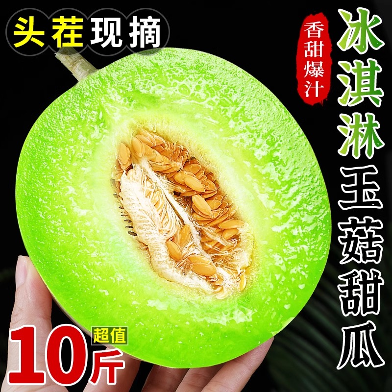 玉菇甜瓜9斤新鲜水果当季蜜瓜