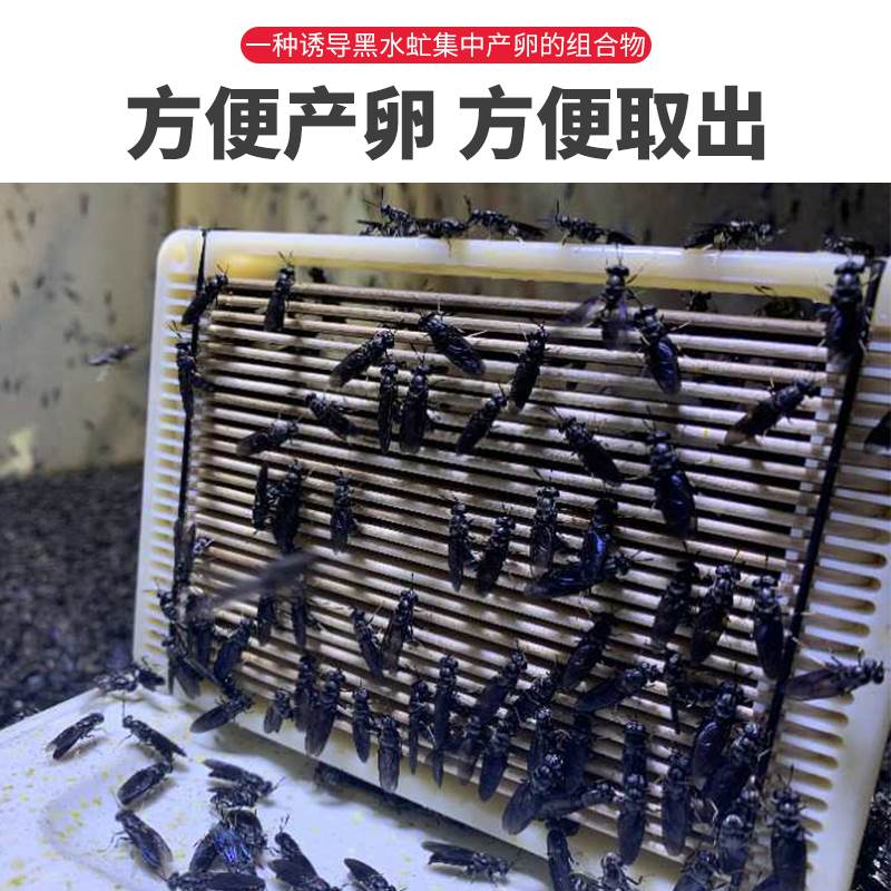 黑水虻产卵器昆虫幼虫孵化器养殖虫卵黑水虻幼虫卵养殖器农业工具