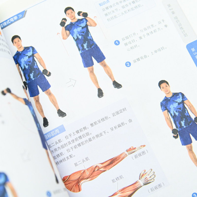 一对哑铃练全身