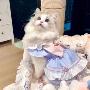 猫咪衣服冬装狗狗衣服公主裙子洛丽塔猫咪奶油甜美宠物